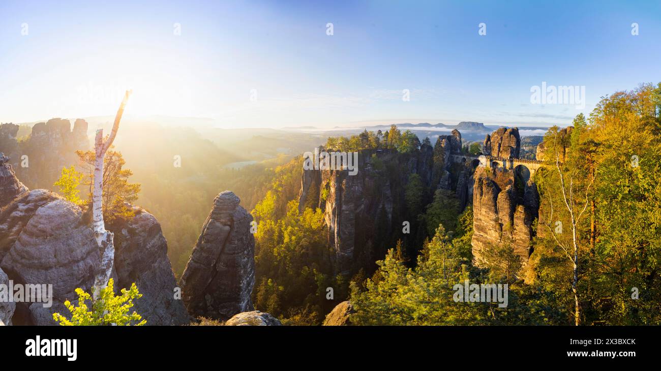 Sonnenaufgang in der Sächsischen Schweiz, Rathen, Sachsen, Deutschland, Europa Stockfoto