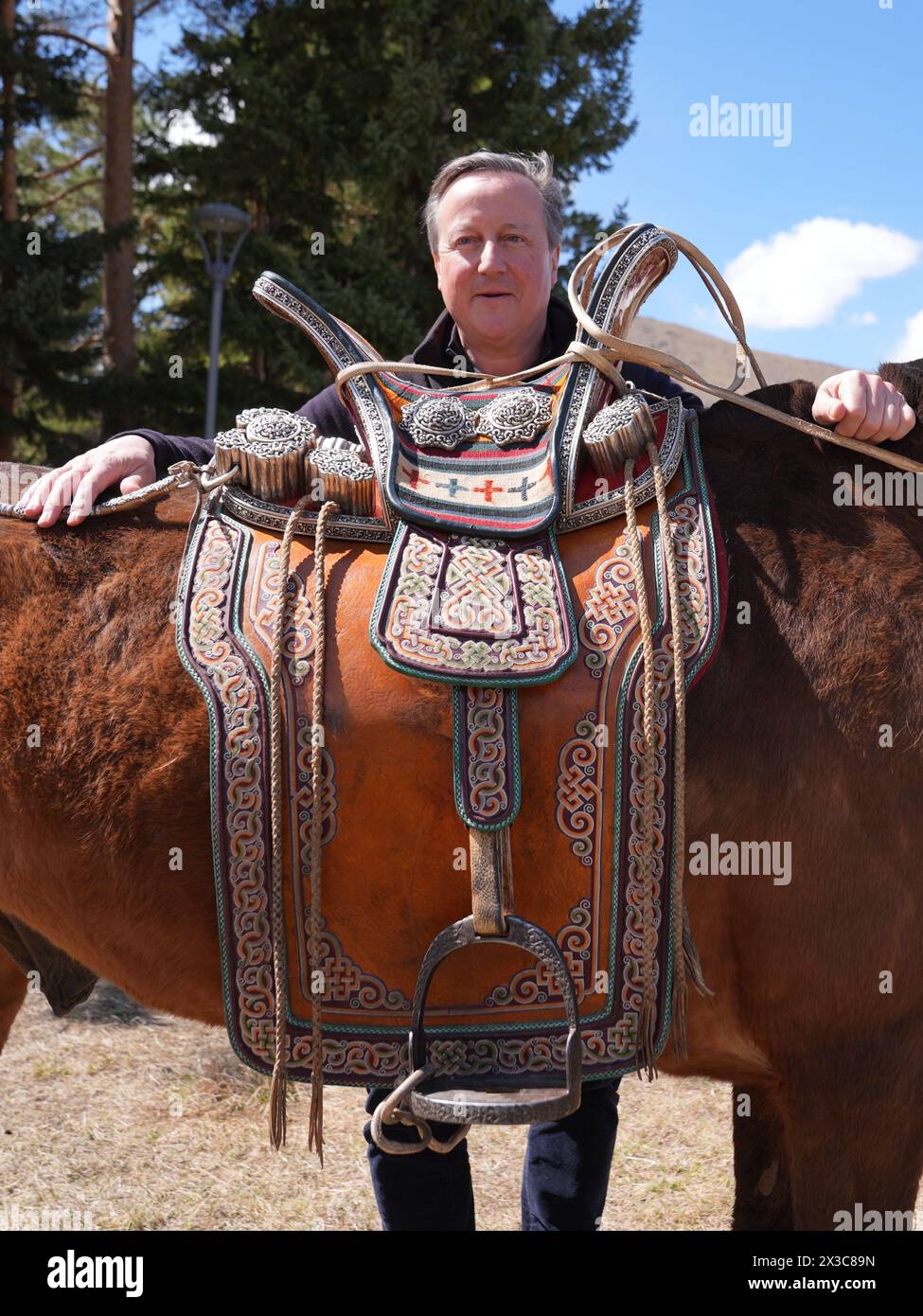 Außenminister Lord David Cameron posiert für ein Foto mit einem der Pferde des Premierministers der Mongolei während eines Besuchs im Ikh Tenger Complex in Ulaanbaatar, Mongolei, am letzten Tag seiner fünftägigen Tour durch Zentralasien. Bilddatum: Freitag, 26. April 2024. Stockfoto