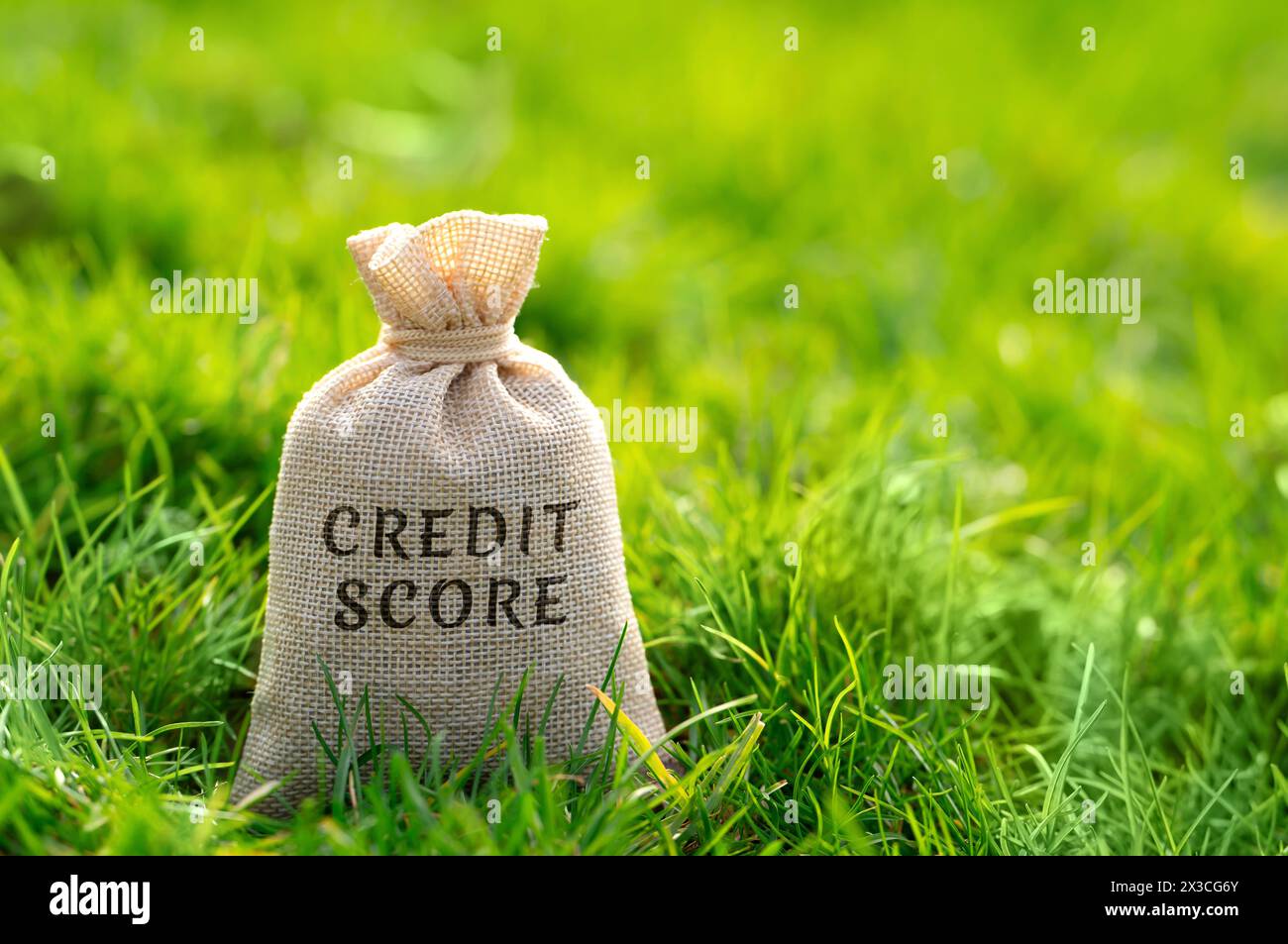 Credit Score-Konzept. Numerische Darstellung der Kreditwürdigkeit einer Einzelperson, anhand derer die Kreditgeber das Risiko einer Kreditvergabe an Th beurteilen Stockfoto