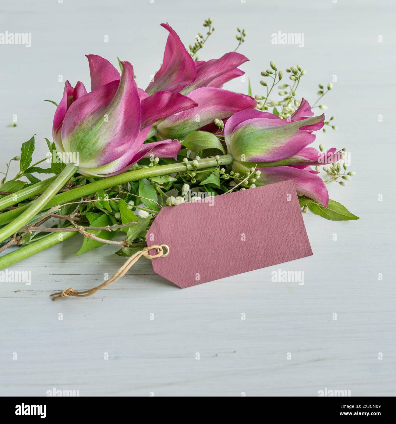 Strauß aus rosa und grünen Tulpen und Zweigen mit weißen Blumen auf weißem Hintergrund Stockfoto