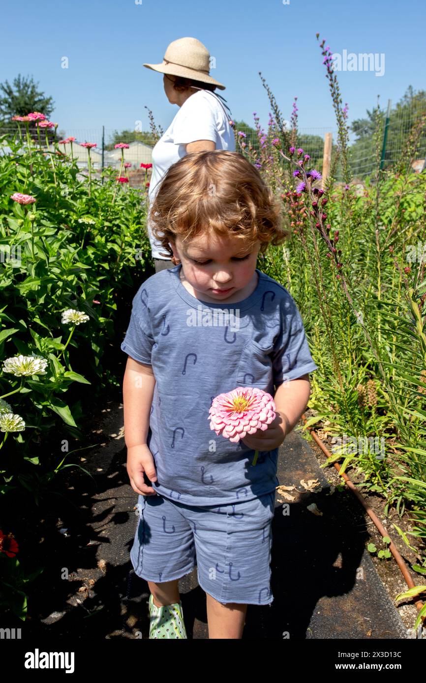 Enkel und Großmutter pflücken Blumen im Garten Stockfoto