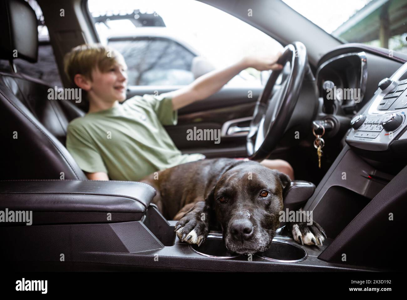 Fröhlicher Junge und ruhiger Hund teilen sich ein vorgetäuschtes Fahrabenteuer Stockfoto