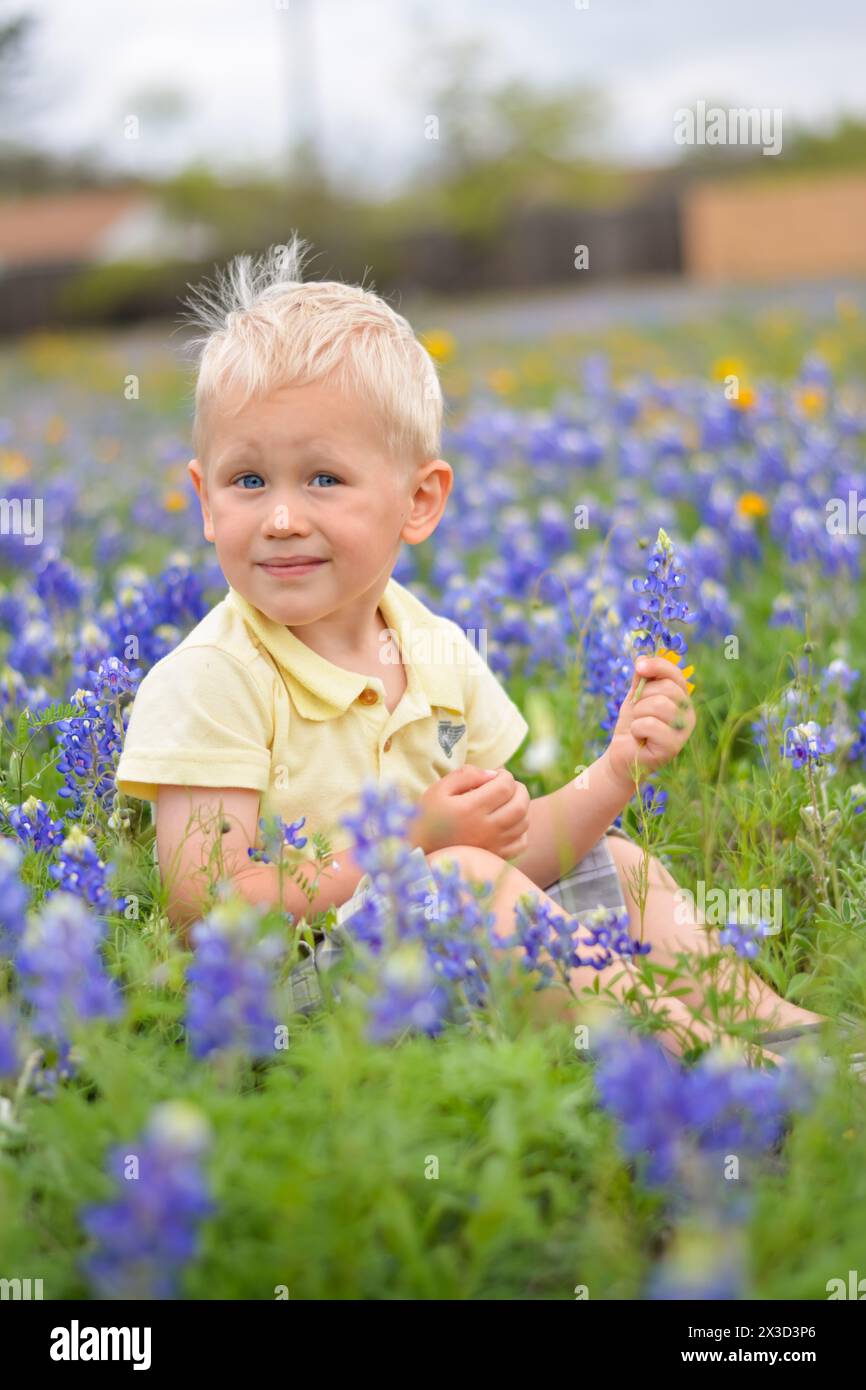 Junge im Alter von 3-5 Jahren, der auf einem Feld mit bluebonnet-Wildblumen sitzt Stockfoto