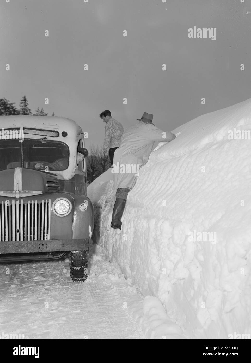 Aktuell 05–1951: Südnorwegen mit Schnee bedeckt. Vier bis fünf Meter hohe Pflugkanten entlang der Straßen, der Schnee ist so hoch, dass man leicht aus dem zweiten Stock gehen kann und die Leute ständig auf die Dächer klettern müssen, um den Schnee von dort weg zu räumen. Die Straßen sind gerade breit genug für ein Auto. Fußgänger, die den Bus vor den Treffpunkten treffen, haben nichts zu tun, als mühsam an den Pflugrändern vorbei zu klettern, um sich selbst zu retten.Foto: Arne Kjus / aktuell / NTB ***Foto ist nicht bildbearbeitet*** dieser Bildtext wird automatisch übersetzt Stockfoto