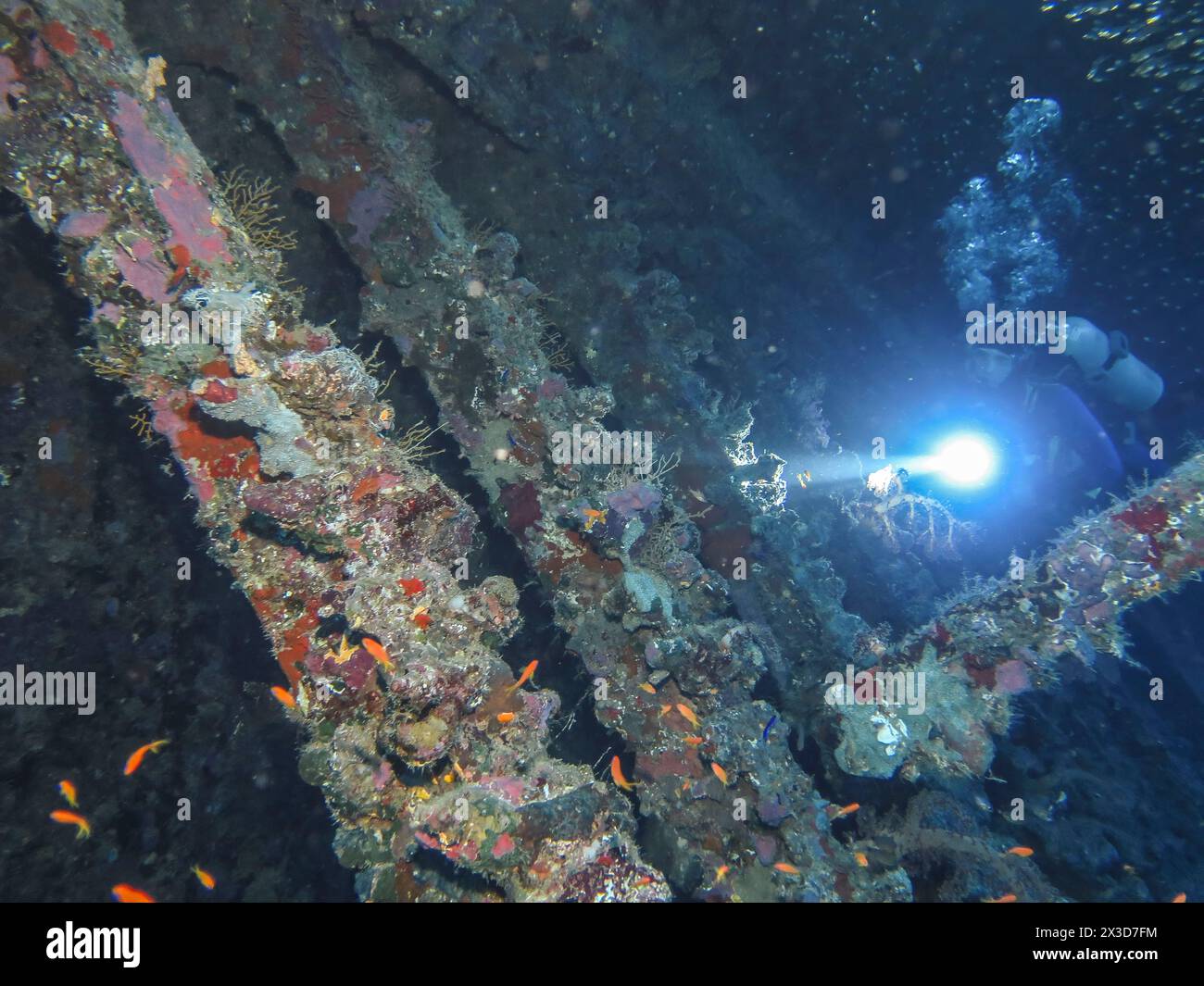 Taucher im Wrack der Carnatic, Rotes Meer, Ägypten Stockfoto