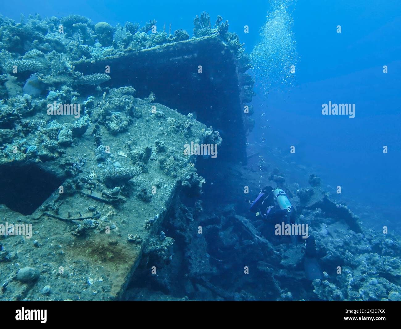 Wrack der Carnatic, Rotes Meer, Ägypten Stockfoto