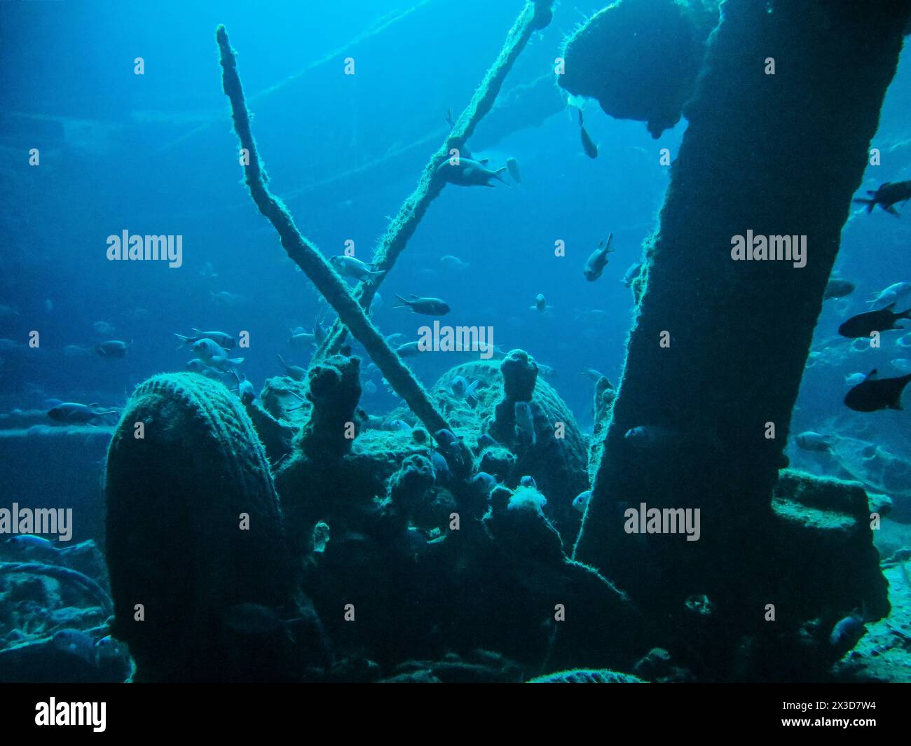 Unteres Deck, Laderäume, Tauchplatz Wrack der Thistlegorm, Rotes Meer, Ägypten Stockfoto