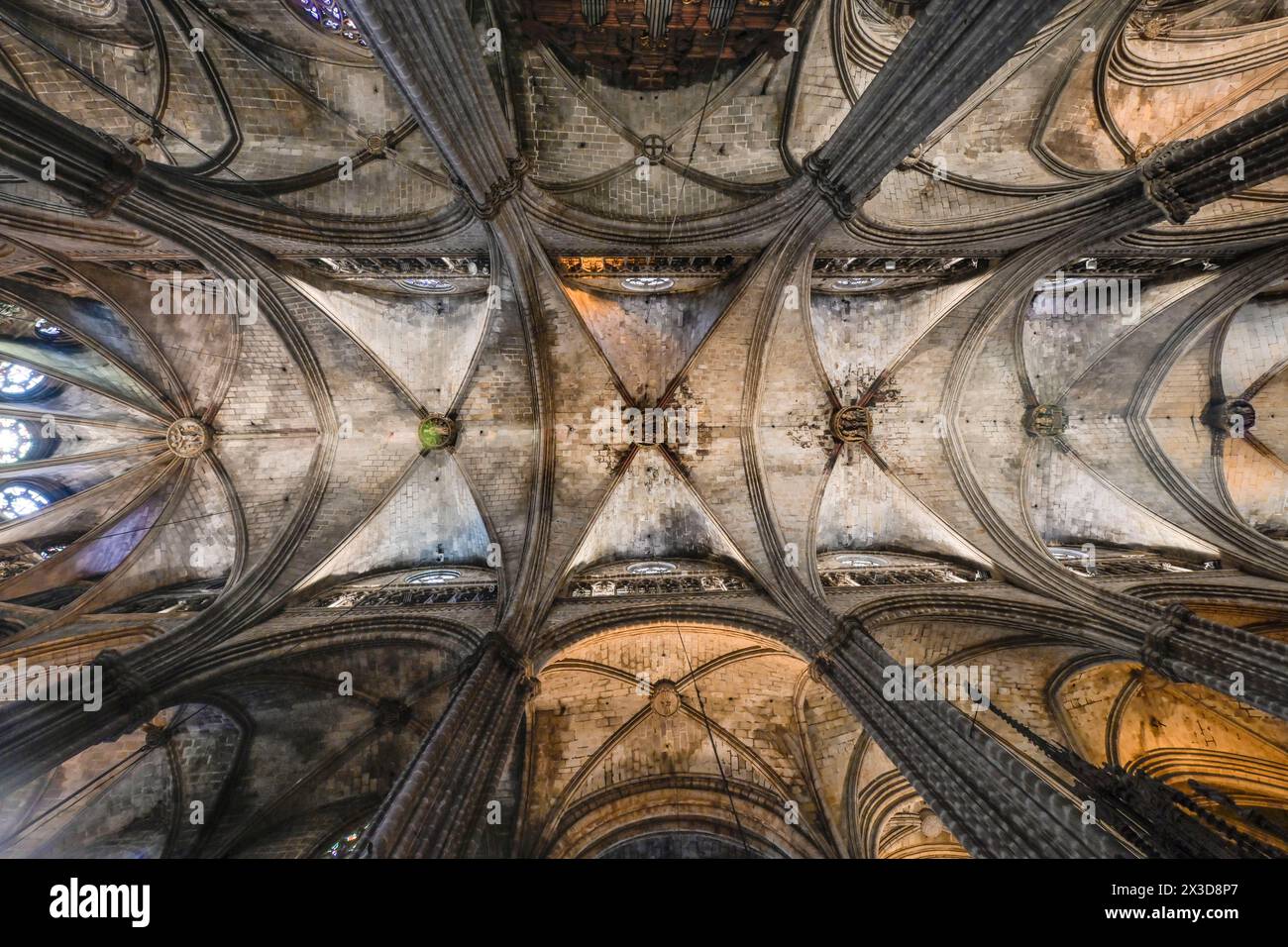 Deckengewölbe im Hauptchor, Kathedrale, Catedral de la Santa Creu i Santa Eulalia, Barcelona, Katalonien, Spanien Stockfoto