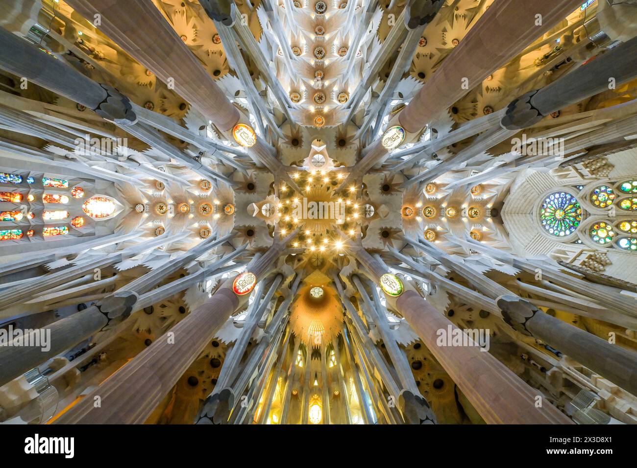 Deckengewölbe, Säulen, Sagrada Familia, Basilika von Antoni Gaudi, Barcelona, Katalonien, Spanien Stockfoto