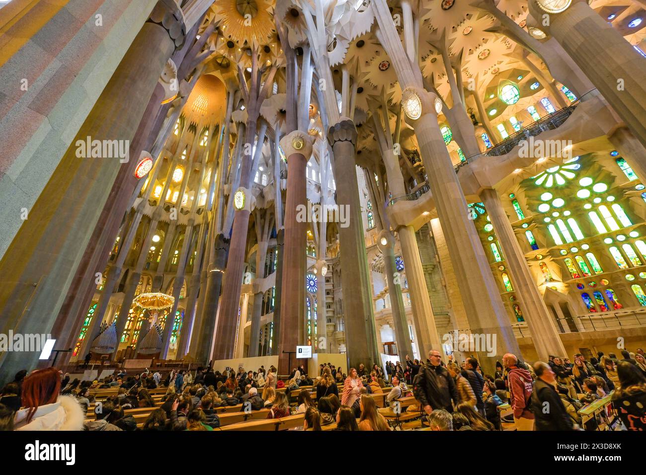 Hauptschiff, Deckengewölbe, Säulen, Sagrada Familia, Basilika von Antoni Gaudi, Barcelona, Katalonien, Spanien Stockfoto