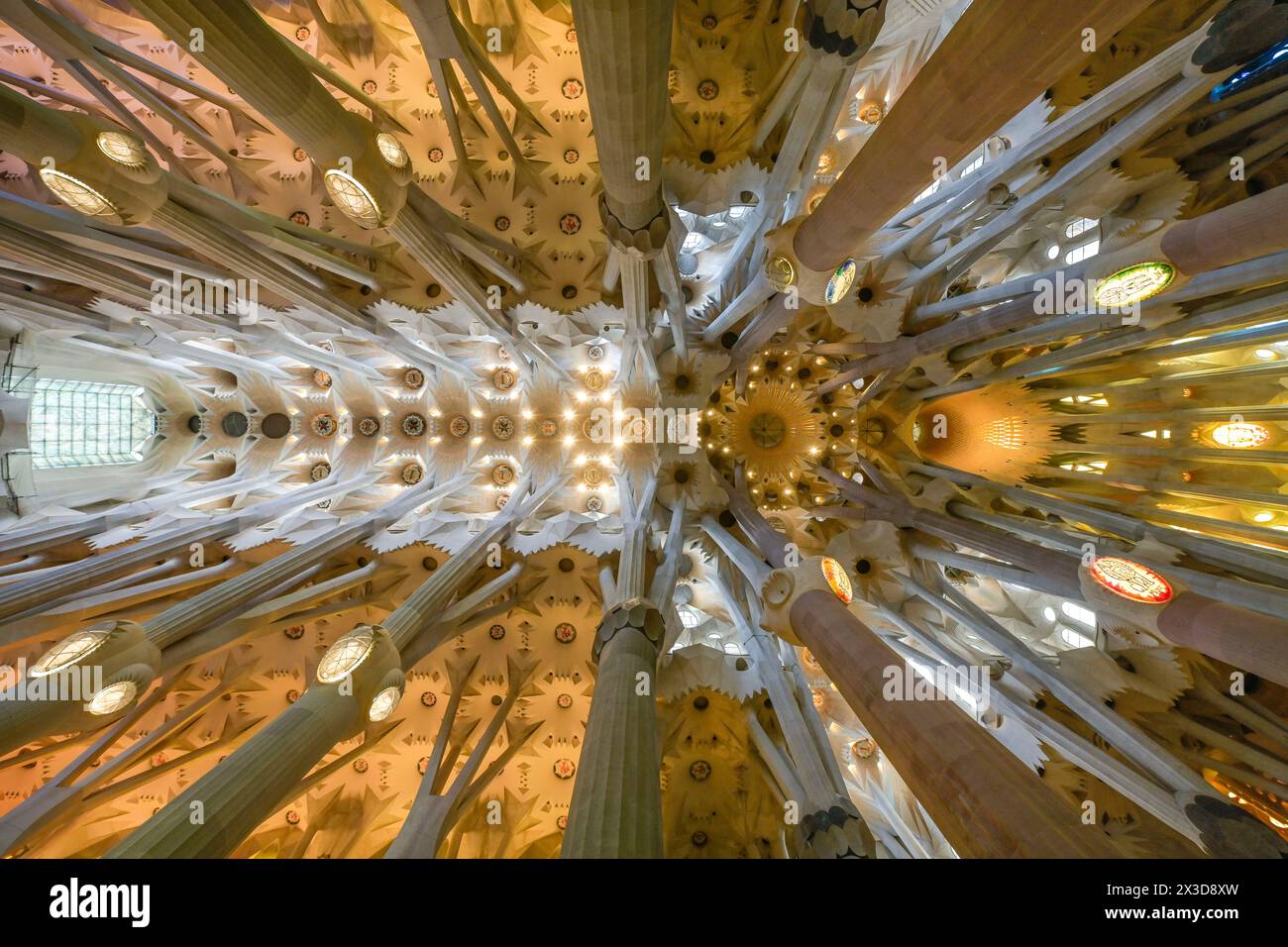 Deckengewölbe, Säulen, Sagrada Familia, Basilika von Antoni Gaudi, Barcelona, Katalonien, Spanien Stockfoto