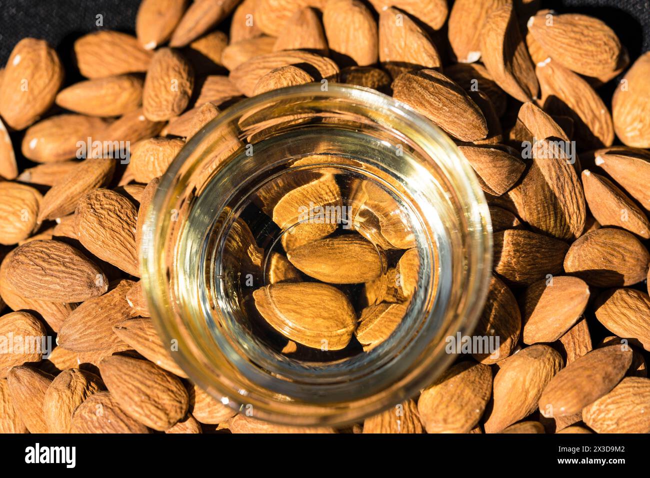 Mandel (Prunus dulcis, Prunus amygdalus, Amygdalus communis, Amygdalus dulcis), rohe Mandeln mit einer Glasschale Mandelöl Stockfoto