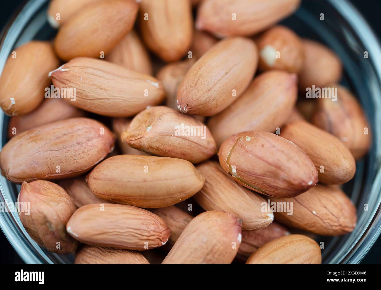 Erdnuss, Erdnuss (Arachis hypogaea), Erdnüsse ohne Schalen in einer Schüssel Stockfoto