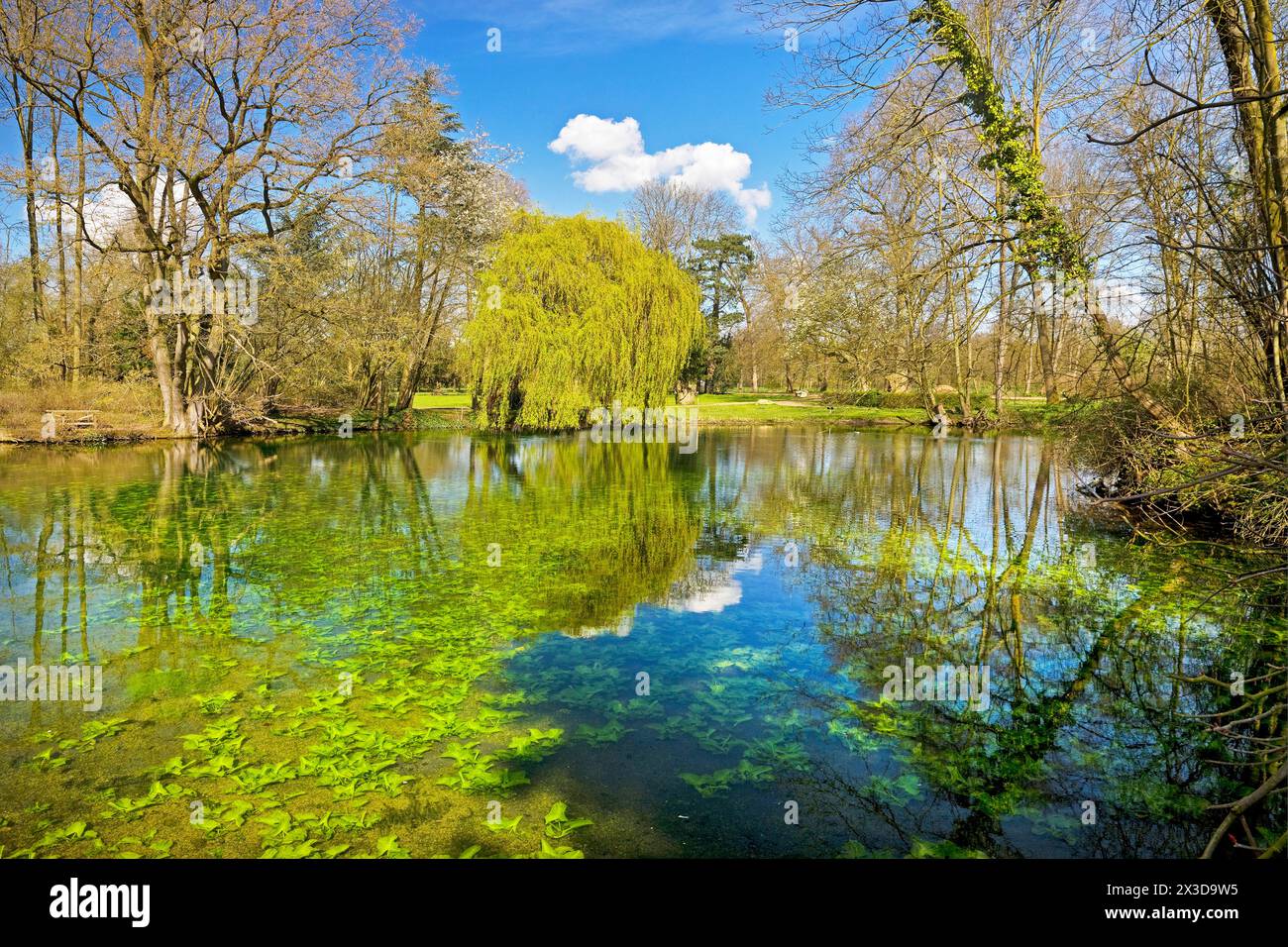 Schlosspark Schloss Paffendorf, Deutschland, Nordrhein-Westfalen, Bergheim Stockfoto