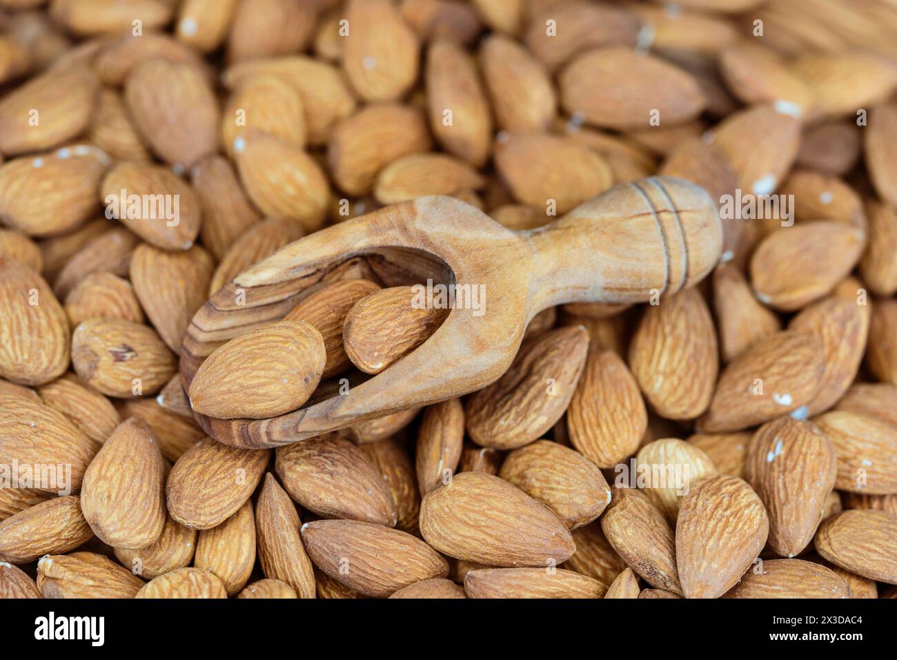Mandel (Prunus dulcis, Prunus amygdalus, Amygdalus communis, Amygdalus dulcis), rohe Mandeln mit einem Holzlöffel Stockfoto