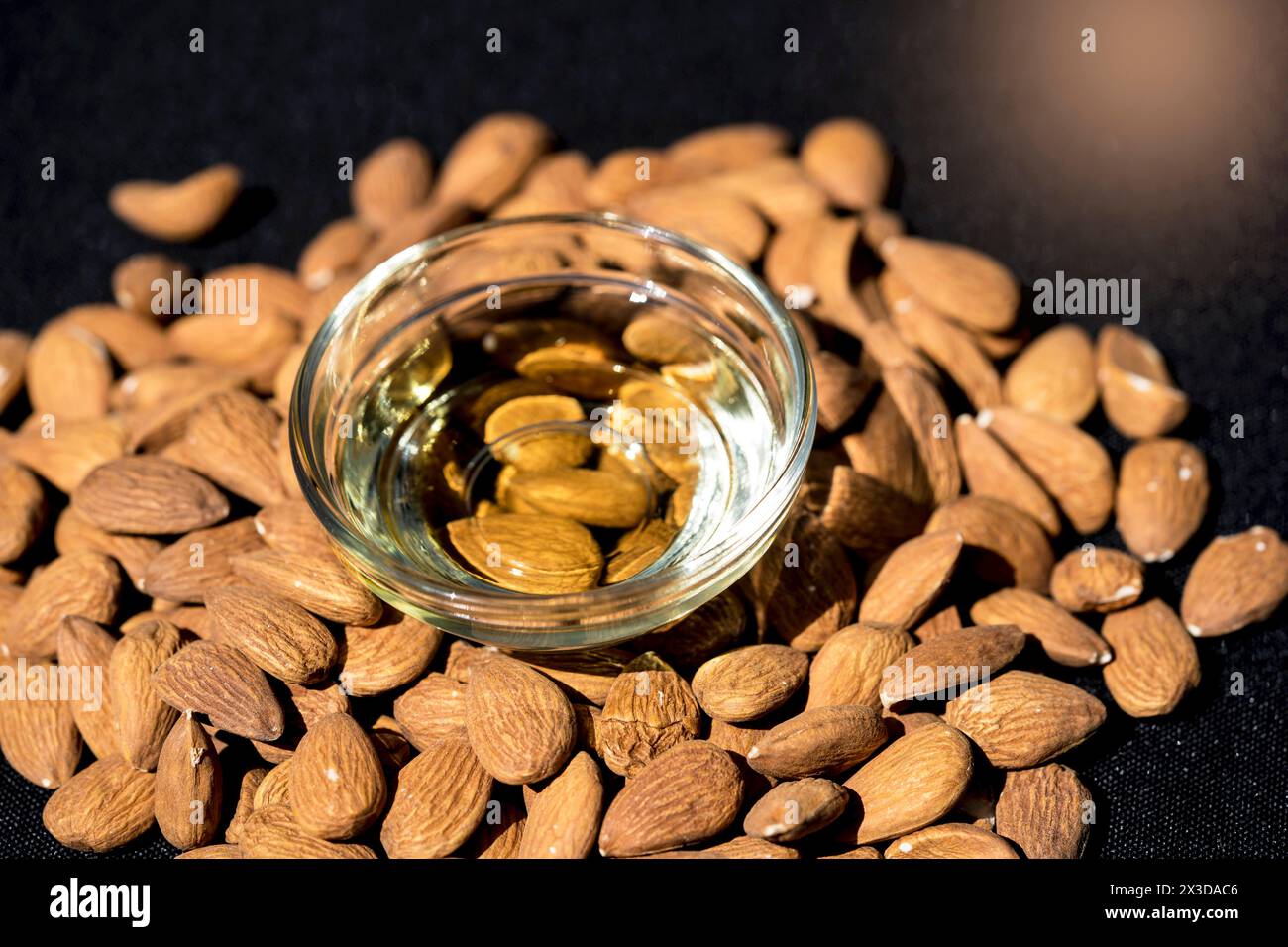 Mandel (Prunus dulcis, Prunus amygdalus, Amygdalus communis, Amygdalus dulcis), rohe Mandeln mit einer Glasschale Mandelöl Stockfoto