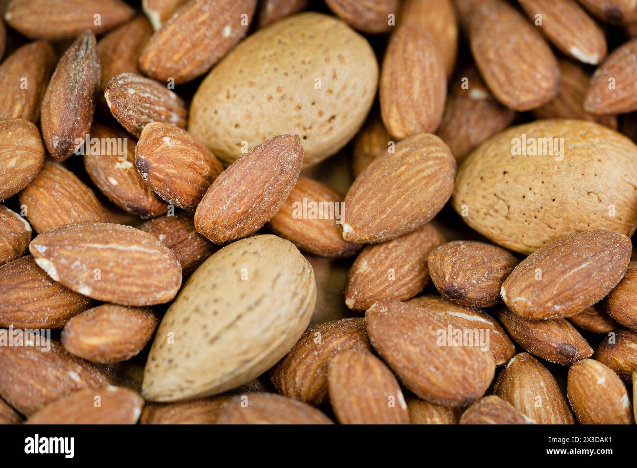 Mandel (Prunus dulcis, Prunus amygdalus, Amygdalus communis, Amygdalus dulcis), gesalzene Mandeln mit ungesackten Mandeln Stockfoto