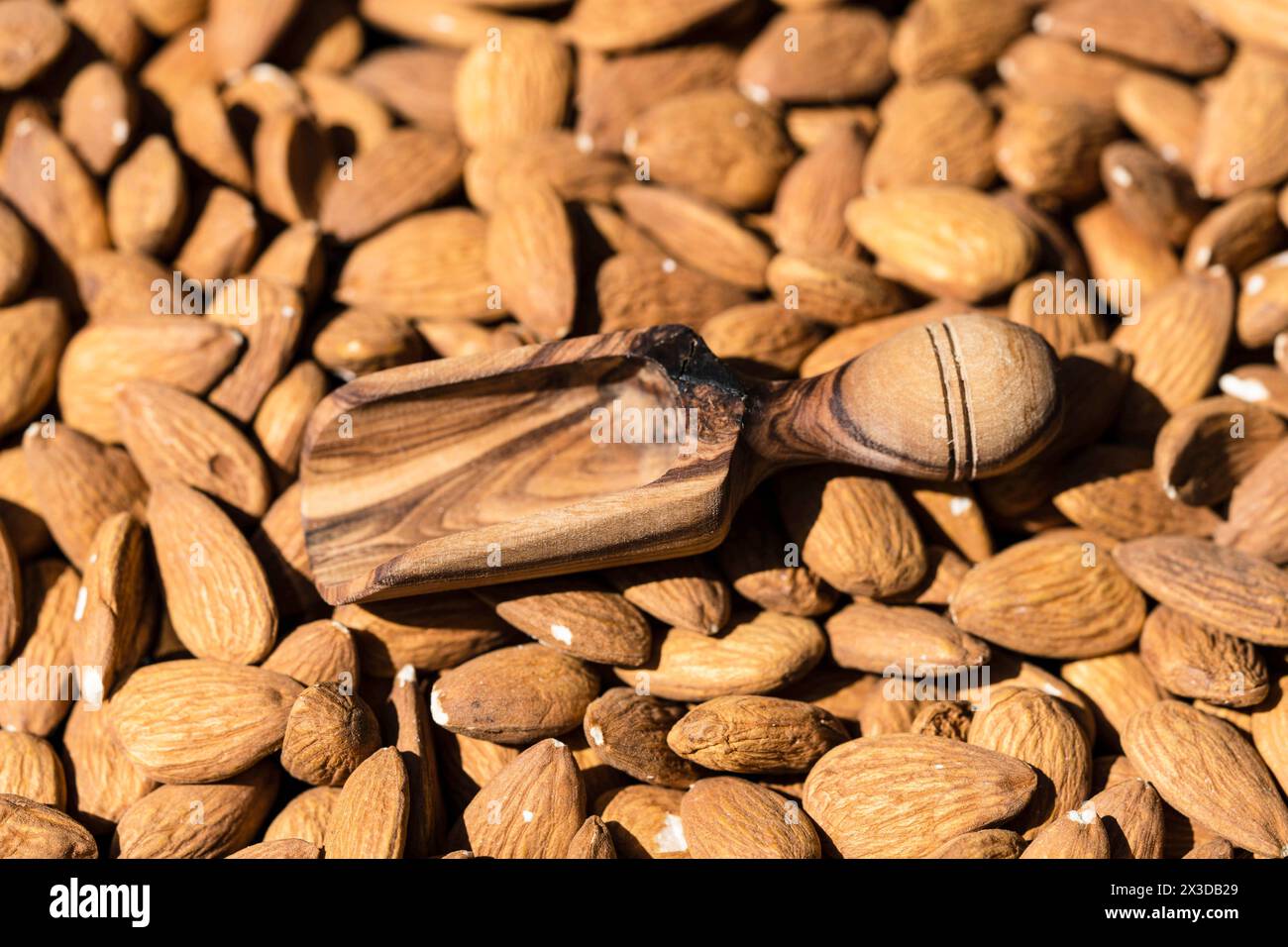 Mandel (Prunus dulcis, Prunus amygdalus, Amygdalus communis, Amygdalus dulcis), rohe Mandeln mit Holzlöffel Stockfoto