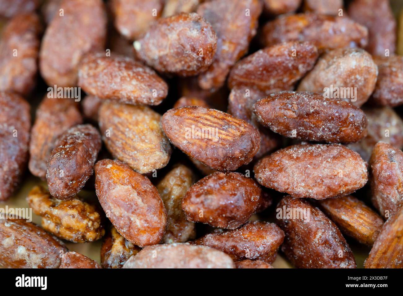 Mandel (Prunus dulcis, Prunus amygdalus, Amygdalus communis, Amygdalus dulcis), verbrannte Mandeln Stockfoto