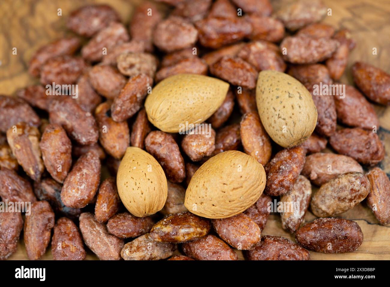 Mandeln (Prunus dulcis, Prunus amygdalus, Amygdalus communis, Amygdalus dulcis), geröstete Mandeln mit Schale Stockfoto
