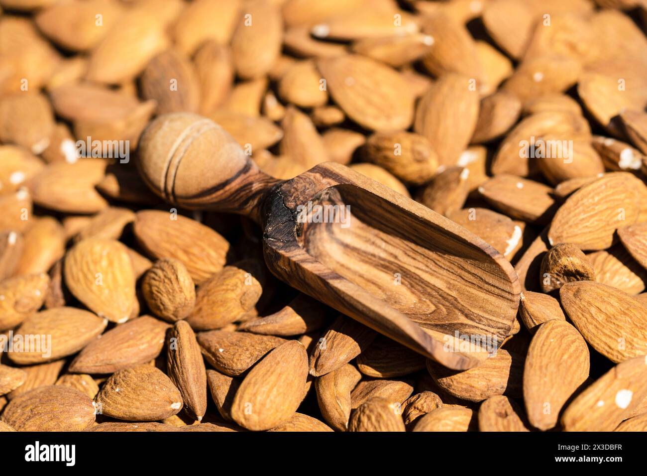 Mandel (Prunus dulcis, Prunus amygdalus, Amygdalus communis, Amygdalus dulcis), rohe Mandeln mit Holzlöffel Stockfoto