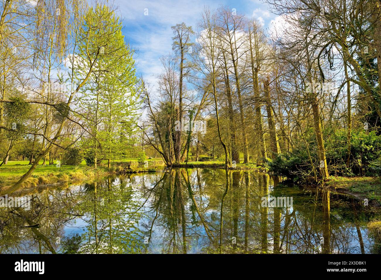 Schlosspark Schloss Paffendorf, Deutschland, Nordrhein-Westfalen, Bergheim Stockfoto
