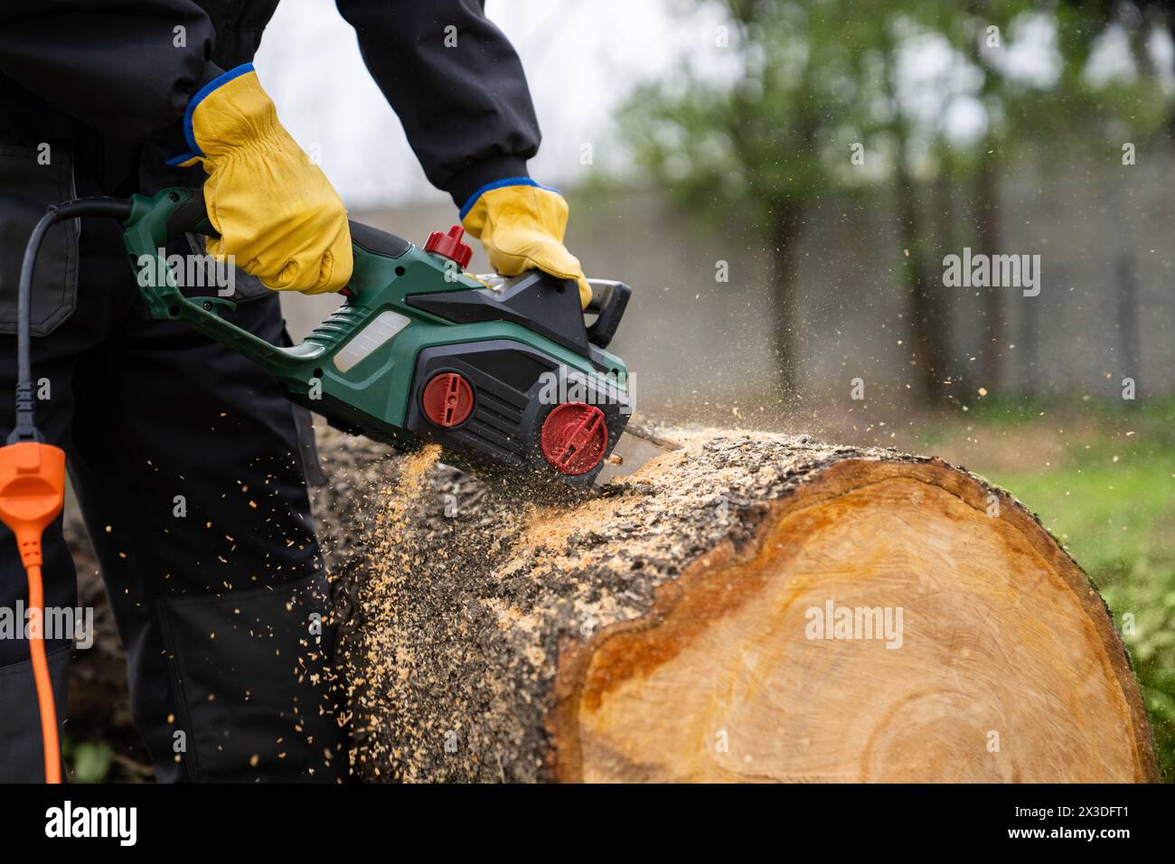Ein Mann in Uniform schneidet einen alten Baum im Hof mit einer elektrischen Säge. Stockfoto