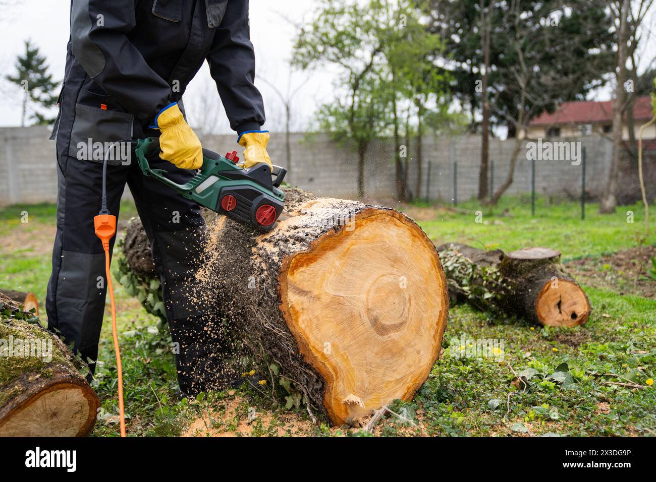 Ein Mann in Uniform schneidet einen alten Baum im Hof mit einer elektrischen Säge. Stockfoto