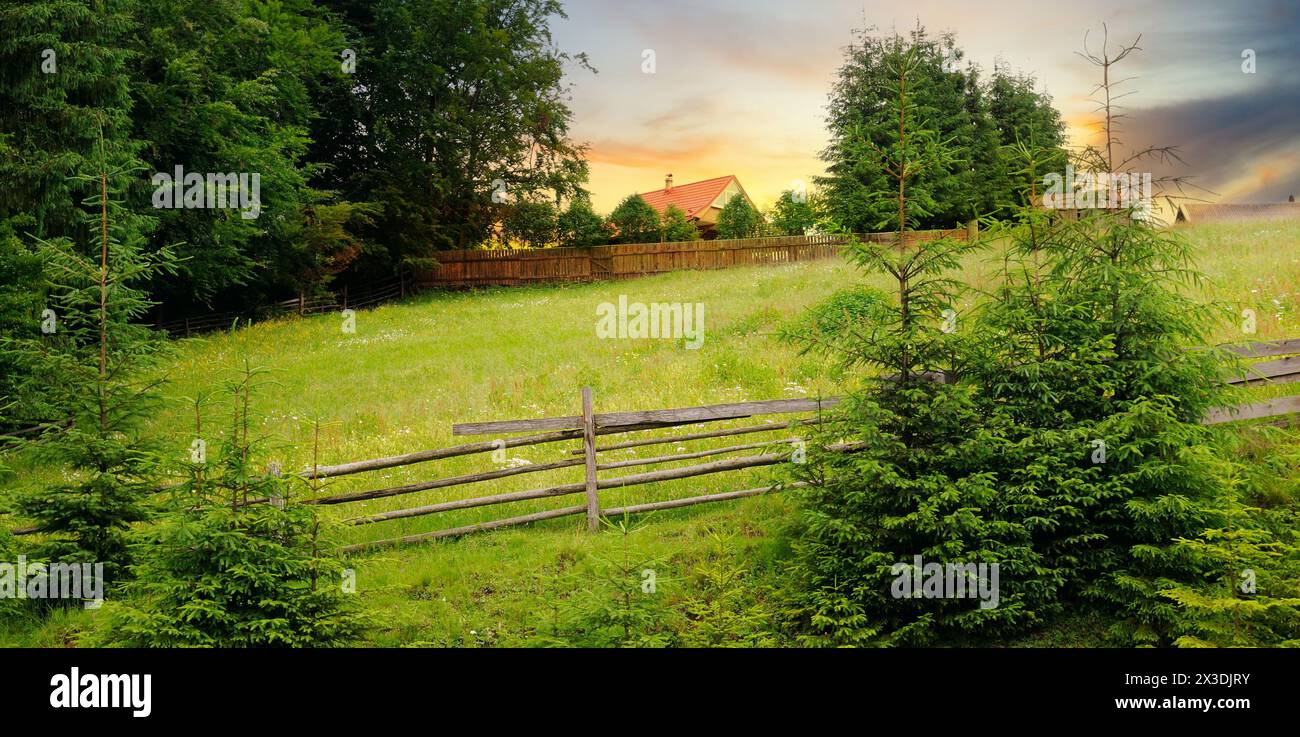 Berghänge und Nadelbäume. Ländliche Landschaft. Breites Foto. Stockfoto