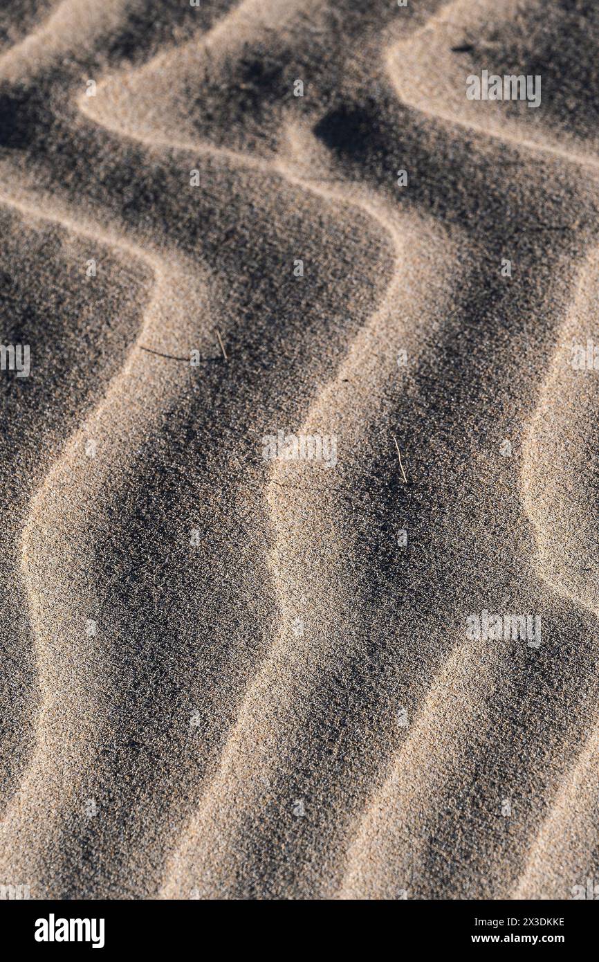 Am Crantock Beach an der Küste von Newquay in Cornwall, Großbritannien. Stockfoto