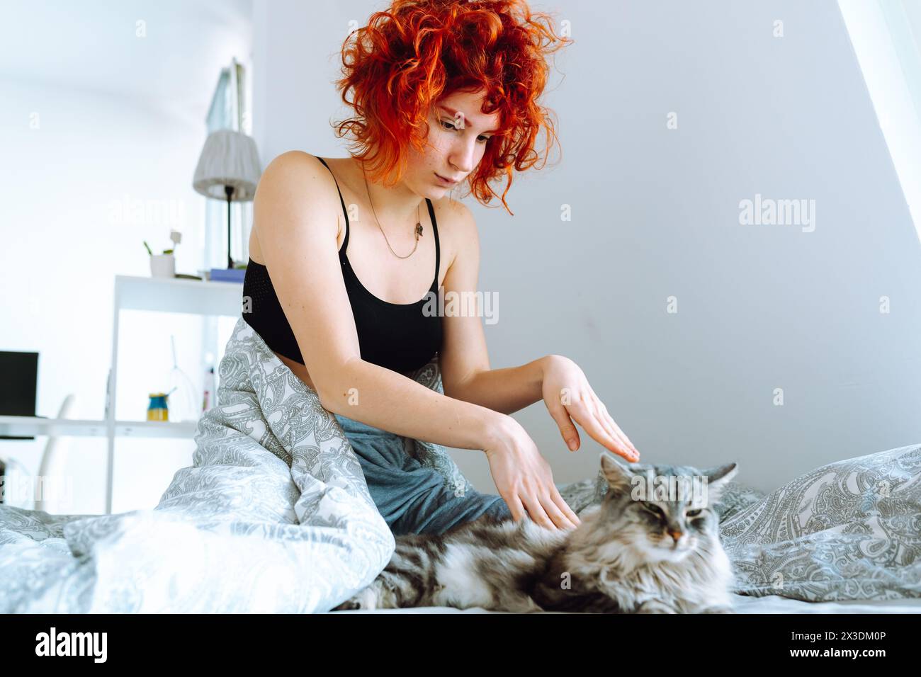 Freundschaft zwischen Haustier und seinem Besitzer Stockfoto