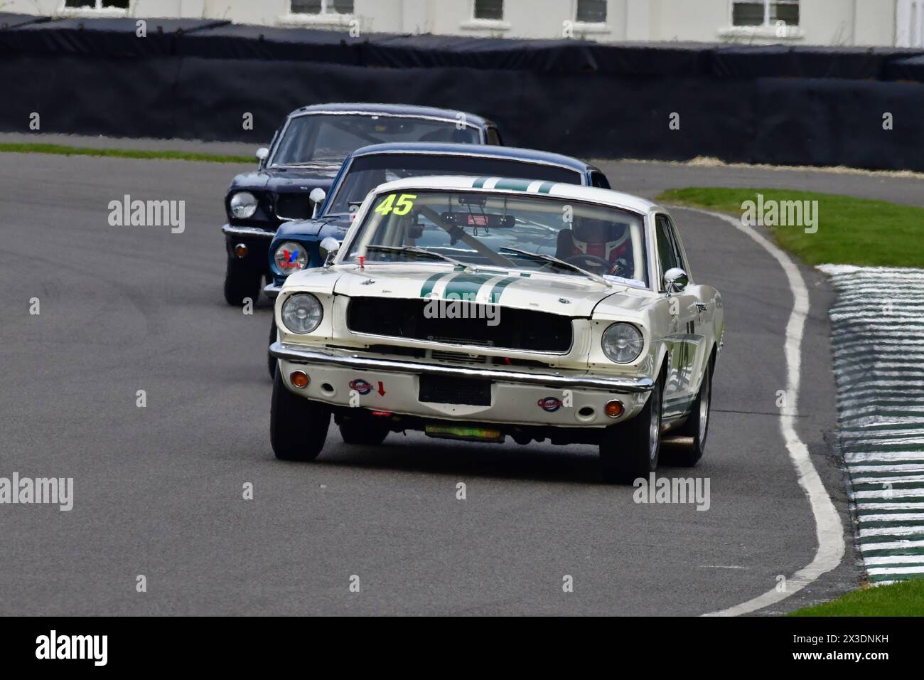 Luke Davenport, Matt Neal, Ford Mustang, Ken Miles Cup, ein fünfundvierzigminütiges Rennen für Ford Mustangs mit zwei Fahrern, das bis zu 1966 antrat Stockfoto