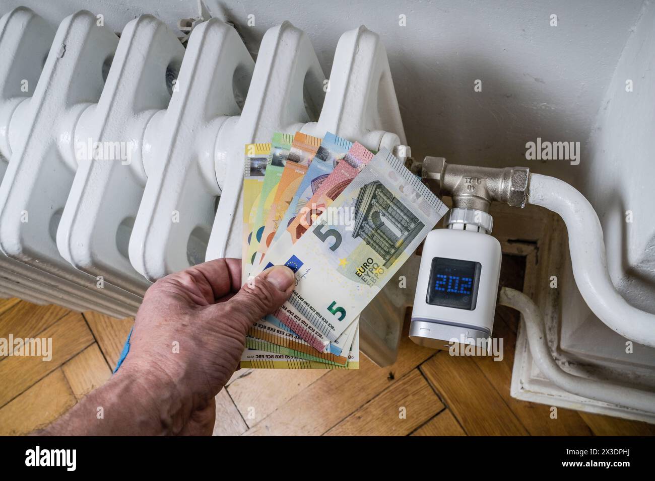 Symbolfoto Energiekosten, Heizkörper, Heizkörper, Digitalthermostat, Geld, Euro Stockfoto