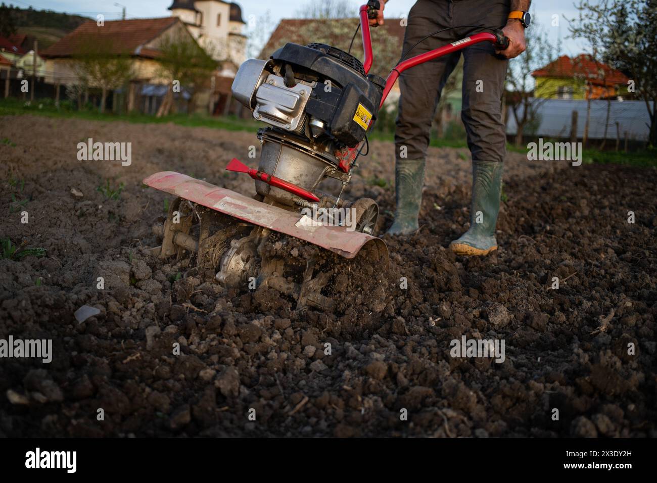 Der Mensch aus ökologischem Landbau pflügt den Boden bei Sonnenuntergang mit einer Bodenfräse, die den Boden für die Aussaat vorbereitet Stockfoto