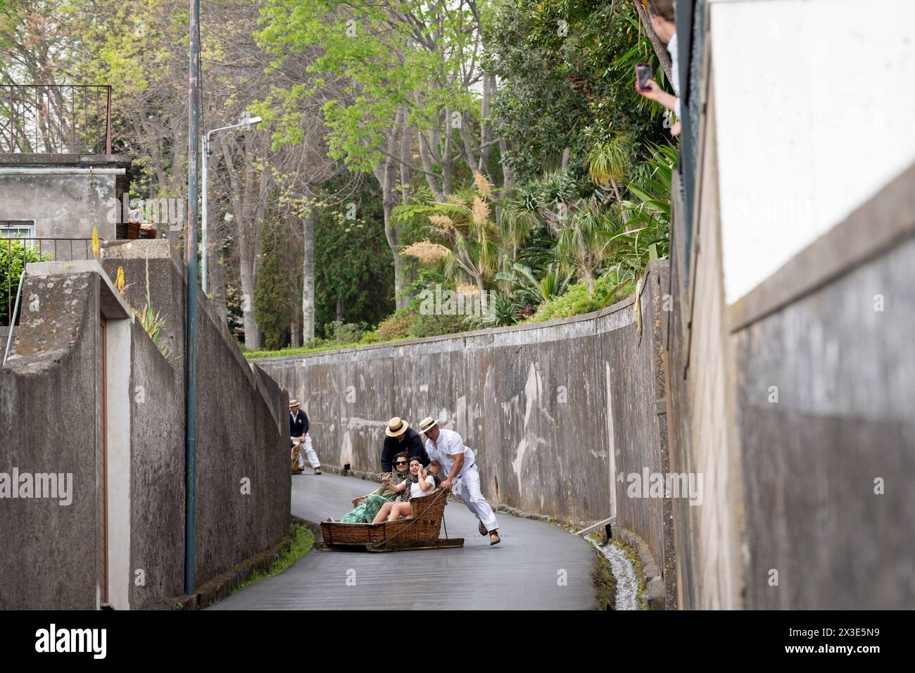 Touristenpassagiere fahren Funchals berühmte „Carreiros de Monte“-Rodelfahrt am 19. April 2024 in Funchal, Madeira, Portugal. (Erweiterter Titel unter „zusätzliche Informationen“). Stockfoto