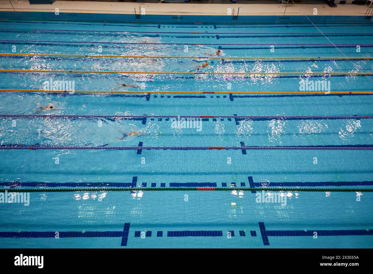 Frauen schwimmen auf Gassen im Schwimmbad. Stockfoto