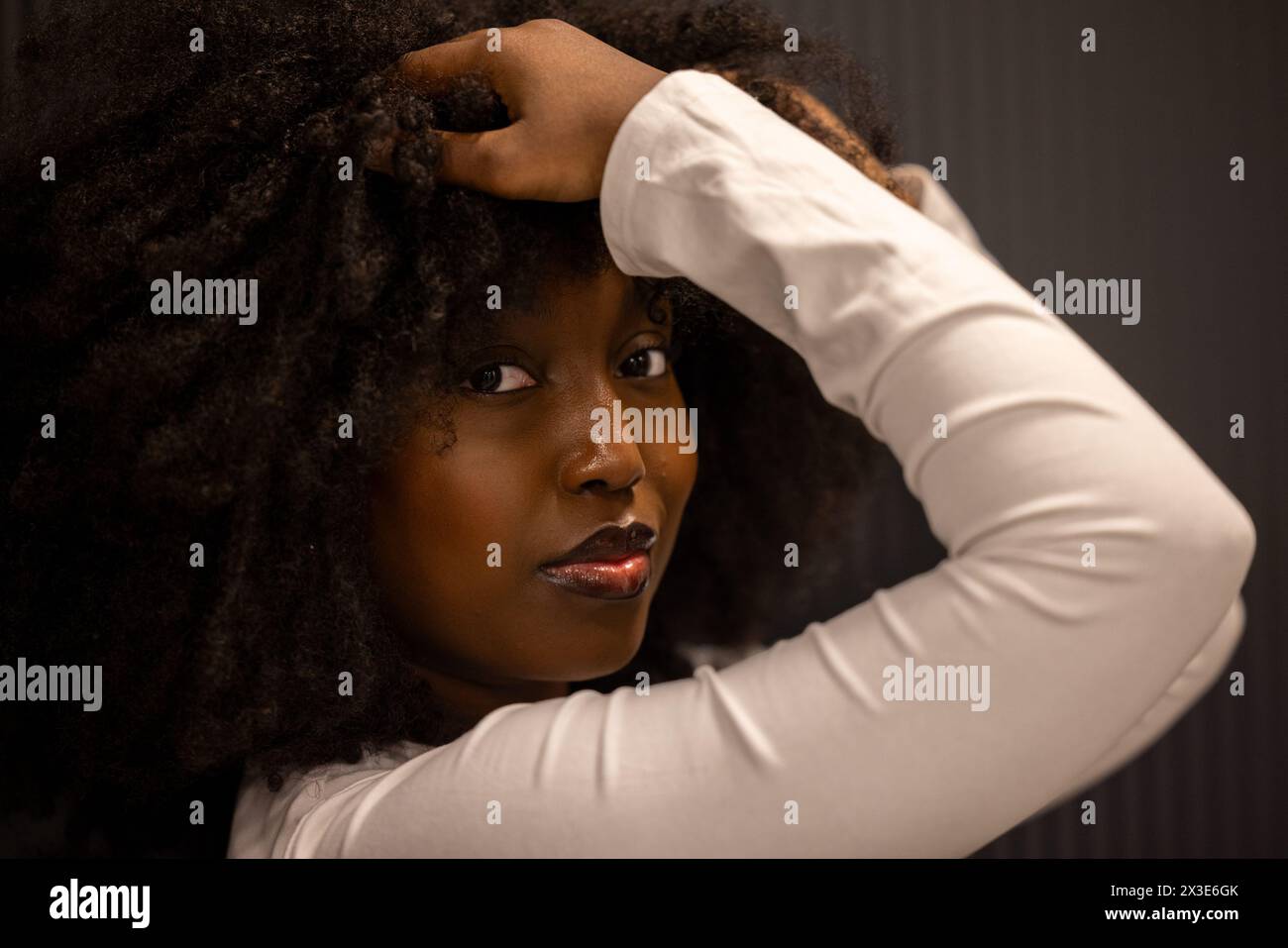 Das intime Porträt zeigt eine schwarze Frau mit üppigem Afro-Haar, die ein weißes langärmeliges Oberteil trägt. Ihre Pose ist anmutig, und der dunkle Hintergrund unterstreicht ihren nachdenklichen Ausdruck und vermittelt eine Geschichte von Eleganz und Introspektion. Elegante schwarze Frau mit Afro-Haar in einem weißen Oberteil. Hochwertige Fotos Stockfoto