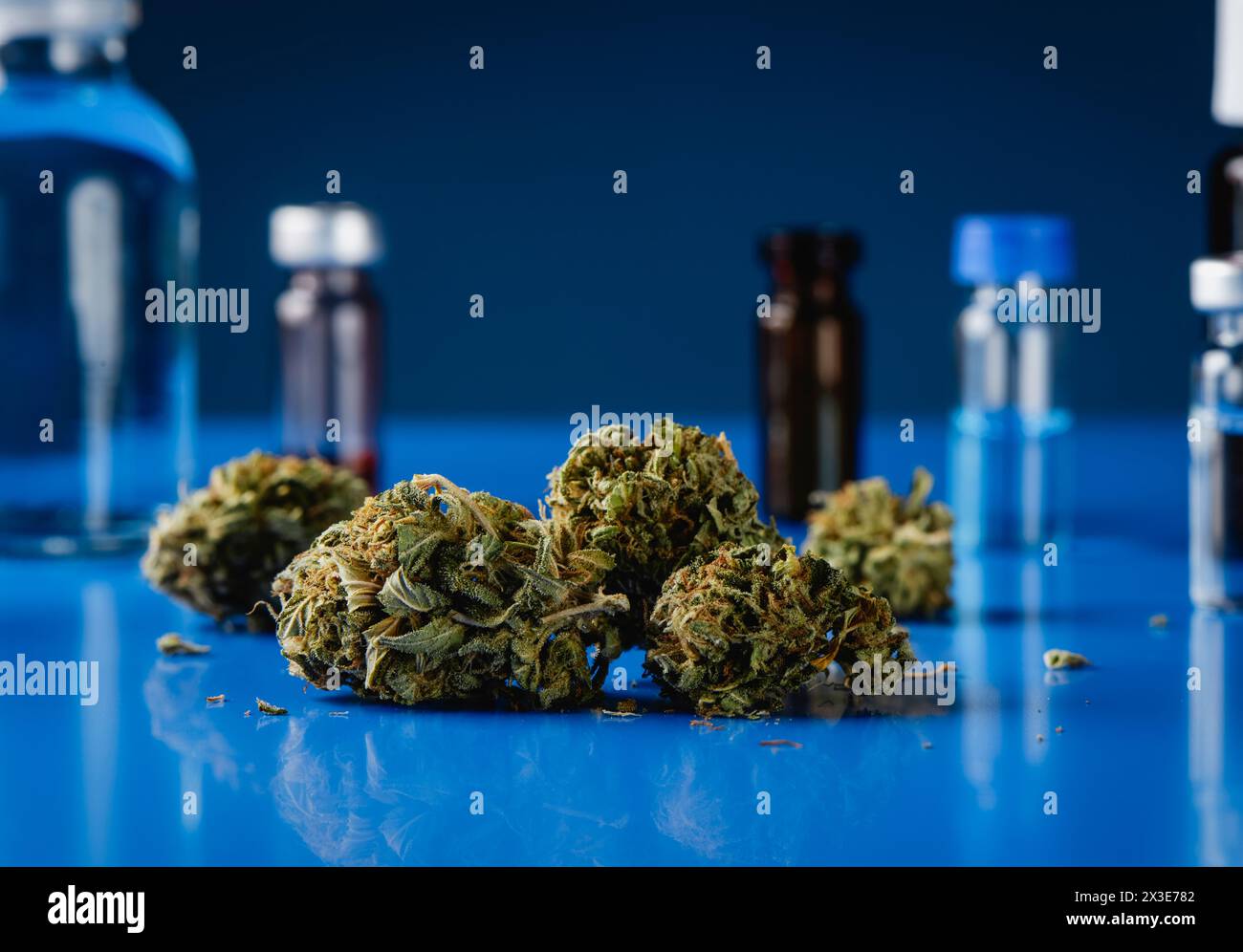 Nahaufnahme einiger Cannabisknospen auf einem blauen Labortisch, neben einigen Flaschen im Hintergrund Stockfoto
