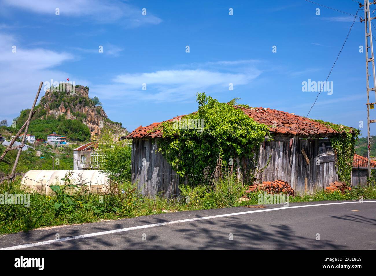 Hölzernes Dorfhaus mit historischem Schloss im Hintergrund Stockfoto