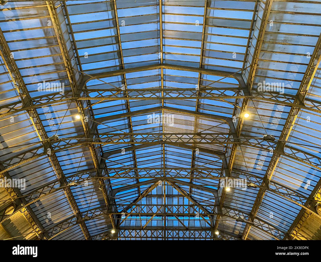 Berühmtes Dach des Gare de l'Est, Paris Frankreich - historische Eisenbahnarchitektur Stockfoto