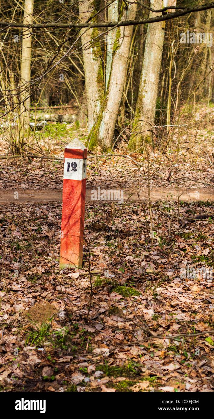 Roter Pol im Wald, der die Grenzen des Gebiets markiert Stockfoto