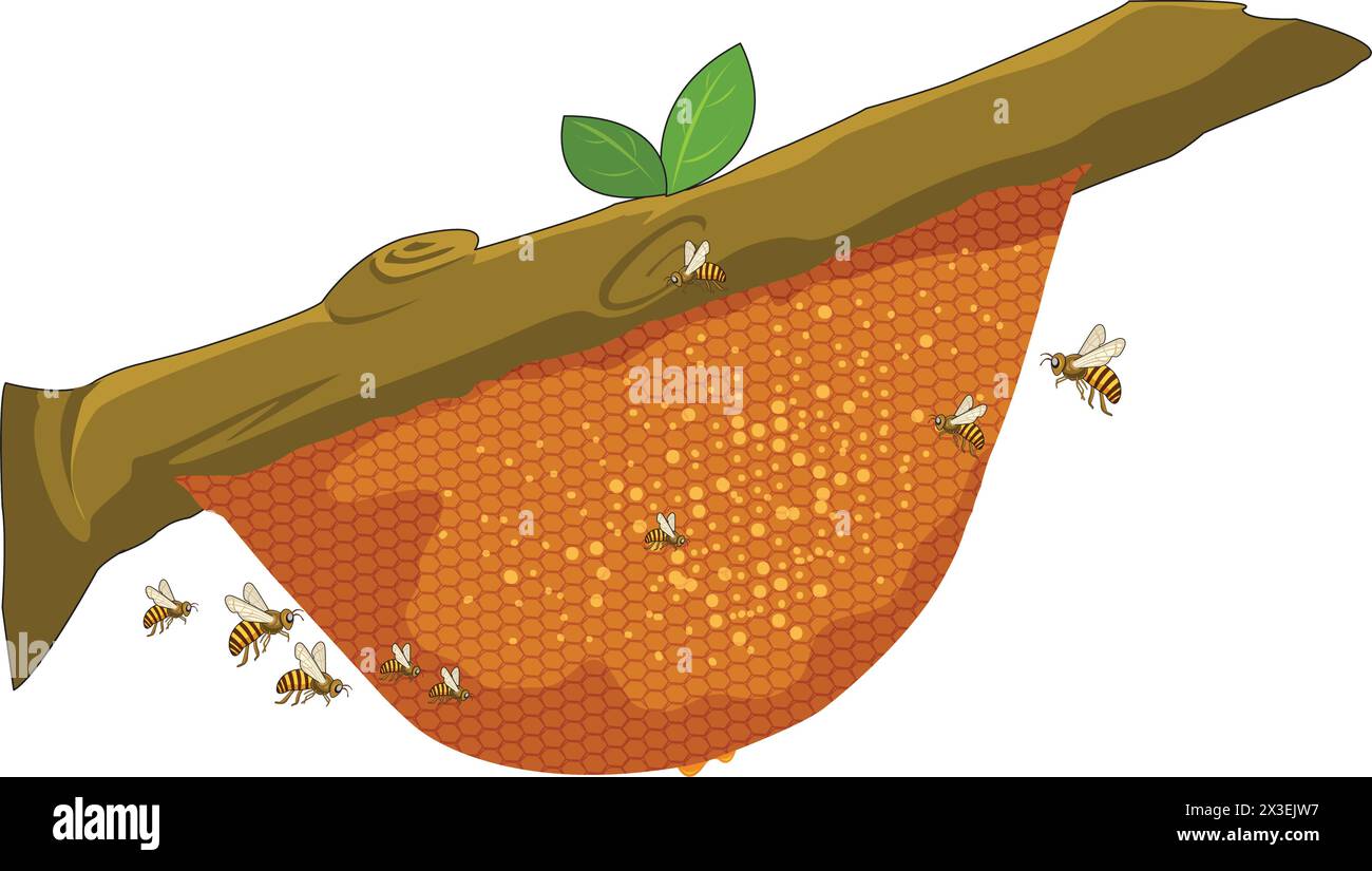 Vektorgrafik Bienenstock Stock Vektor