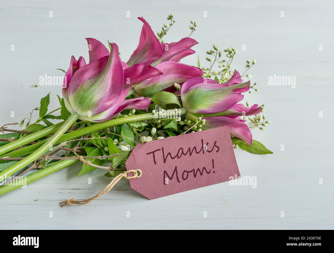 Grußkarte zum Muttertag mit rosa Tulpen Stockfoto