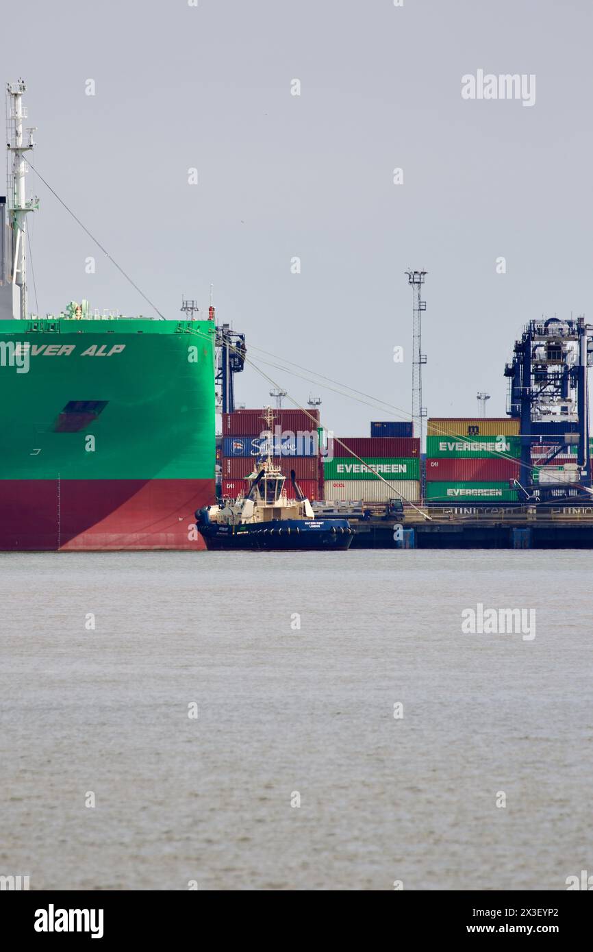 Schlepper Svitzer Kent unterstützt das Containerschiff Ever Alp. Stockfoto