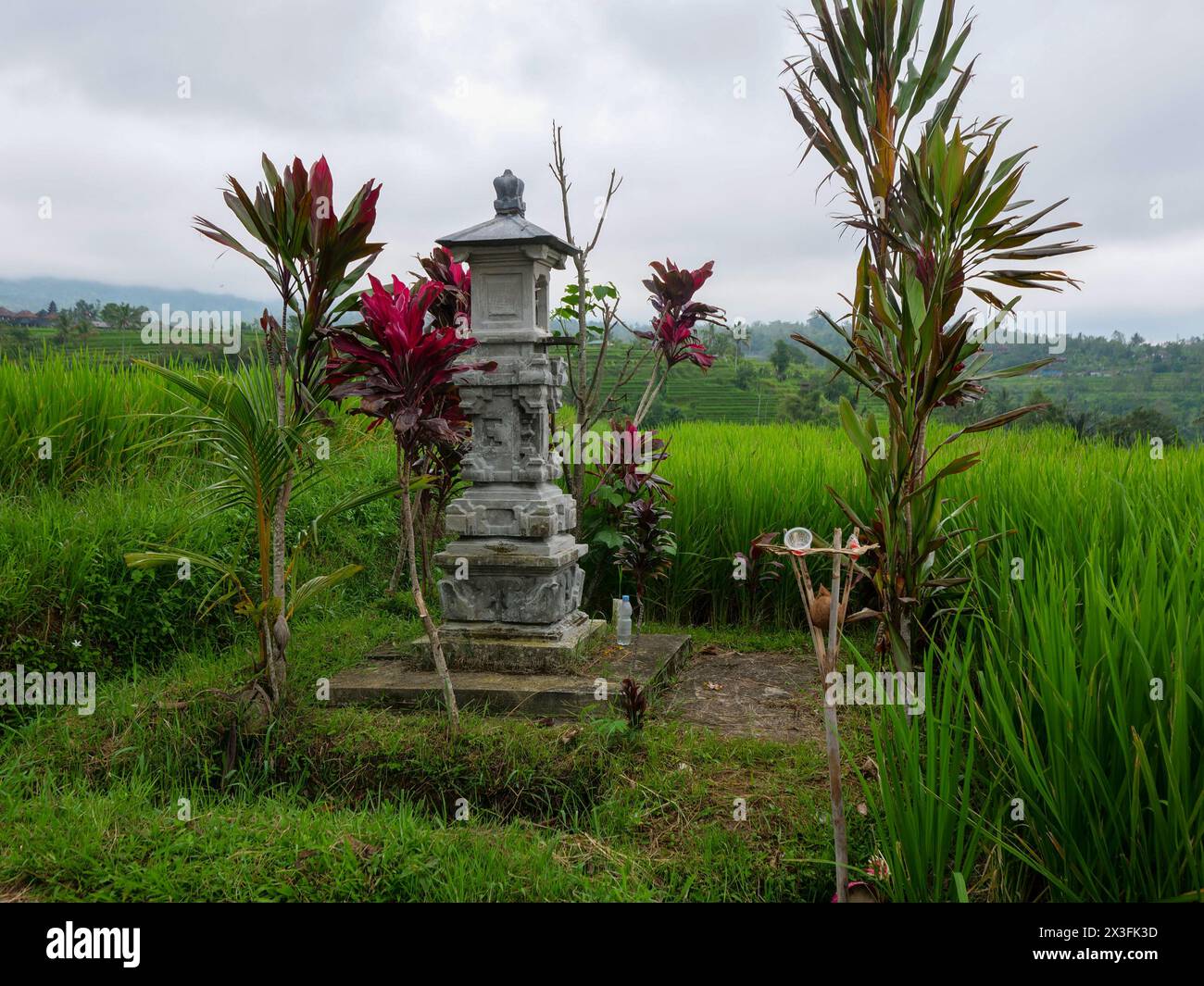 Hinduschrein auf Jatiluwih Rice Terraces, Bali, Indonesien Stockfoto