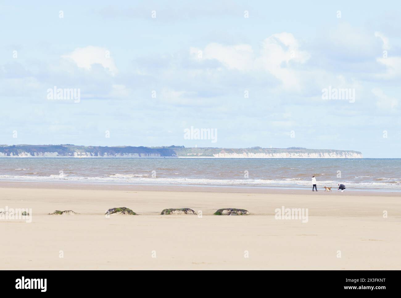 Hundeschlittenläufer gehen an den Strand, um das sonnige Wetter zu genießen, Fraisthorpe Beach, East Yorkshire, Großbritannien Stockfoto