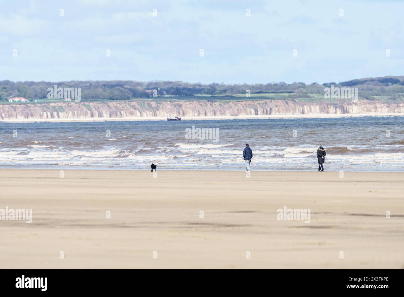 Hundeschlittenläufer gehen an den Strand, um das sonnige Wetter zu genießen, Fraisthorpe Beach, East Yorkshire, Großbritannien Stockfoto