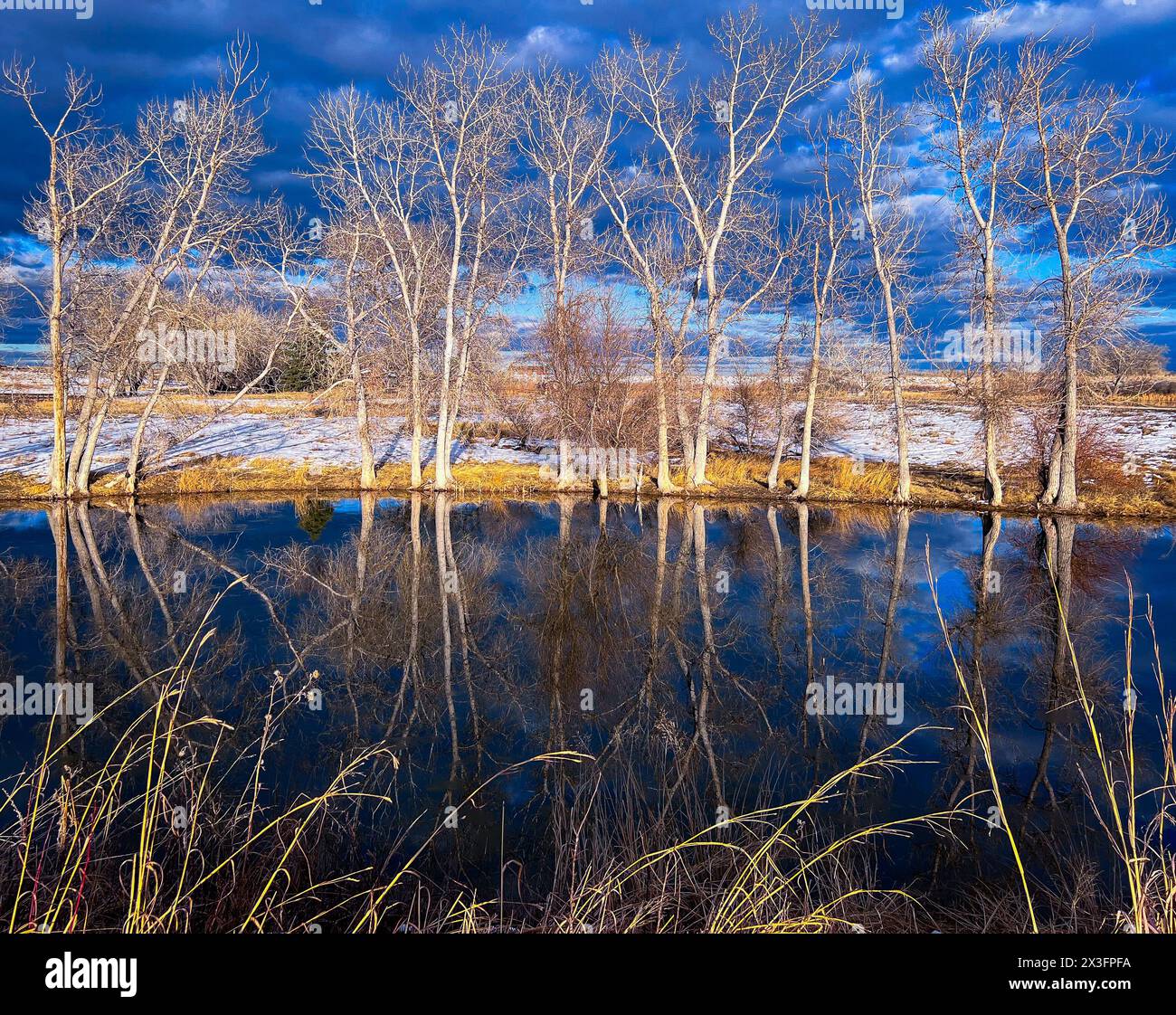 Rocky Mountain Arsenal Wildlife Refuge Stockfoto