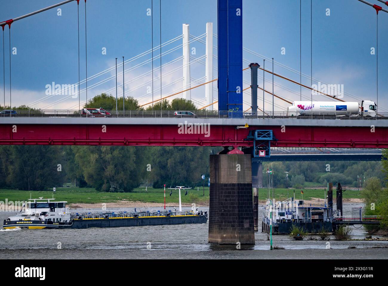 Frachtschiffe auf dem Rhein bei Duisburg, bei Ruhrort Hafen, Friedrich-Ebert-Brücke, hinter der Rheinbrücke Neuenkamp, A40, Neubau weiß, o Stockfoto