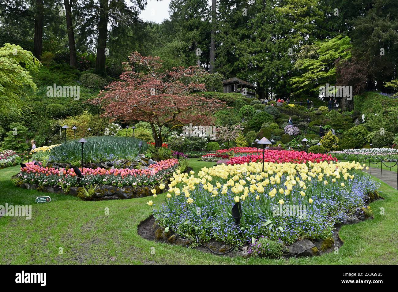 Frühlingsblumen und Blumenzwiebeln in voller bunter Blüte in den wunderschönen Gärten des Landschaftsparks Stockfoto